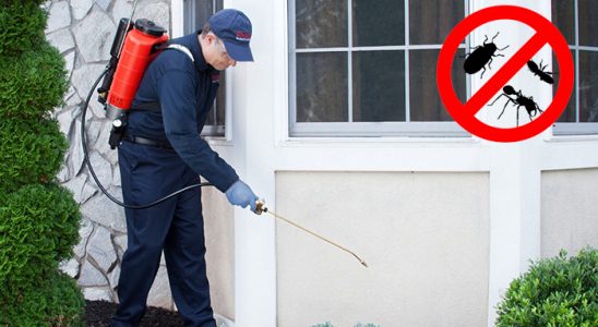 Başakşehir Dezenfeksiyon böcek ilaçlama ve haşere kontrolü — ilaclama-tr.com